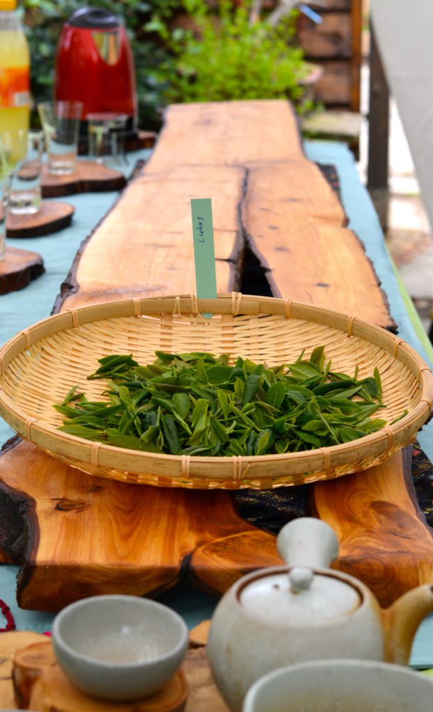 Deutschlands erster Teegarten: Tschanara