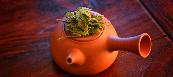 Zehn gute Gründe, weswegen Tee auch für dich ein lebensbereicherndesGetränk sein kann